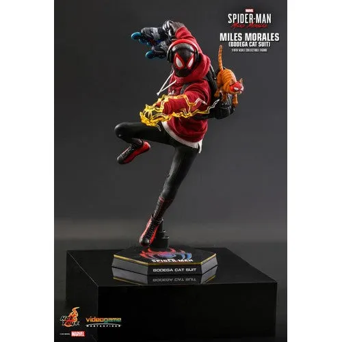 1:6 Marvel : Spider-Man Video Game : Miles Morales Bodega Cat Suit Figure VGM50 Hot Toys