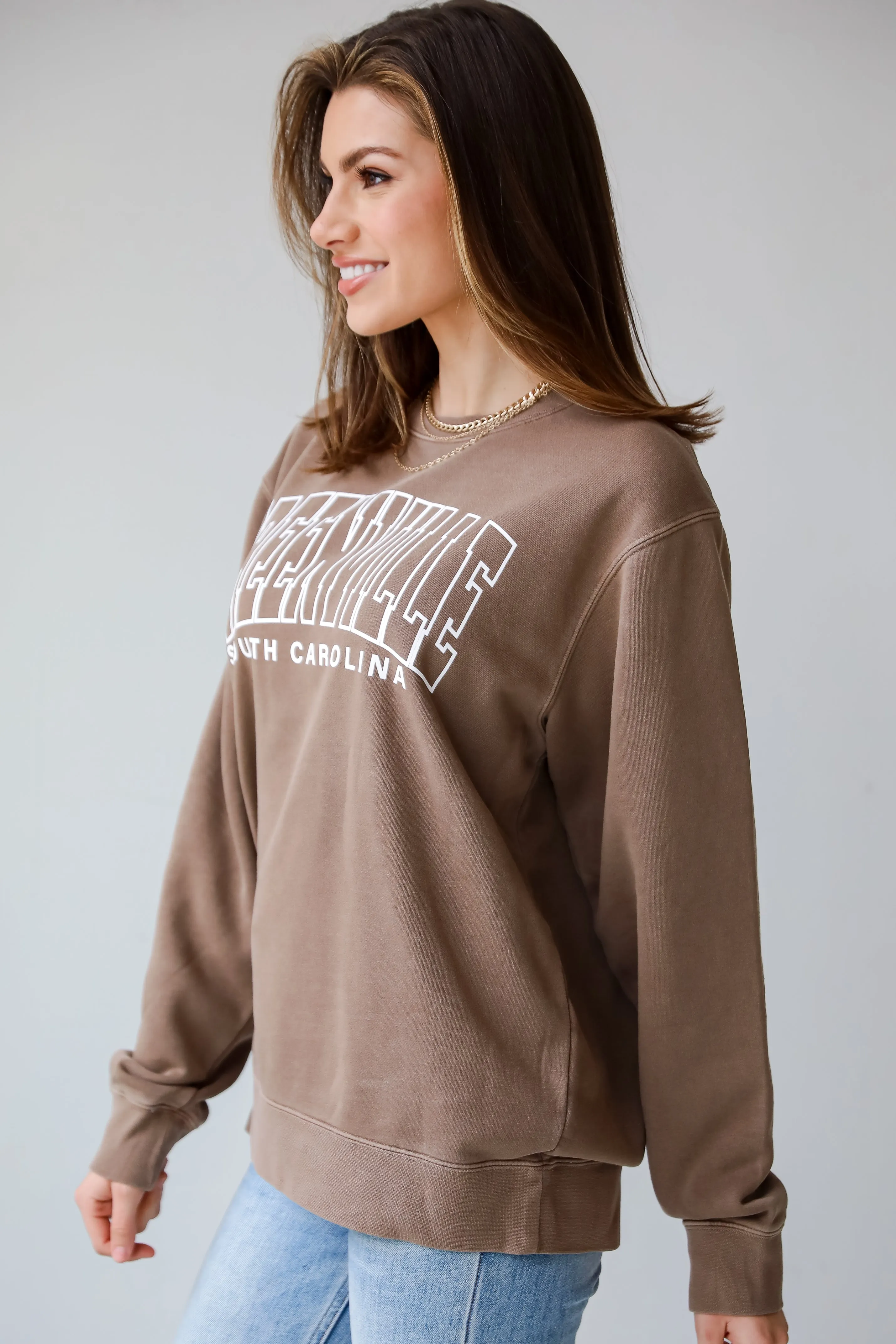 Brown Greenville South Carolina Sweatshirt