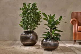 Endo Reclaimed Iron Globe Planter