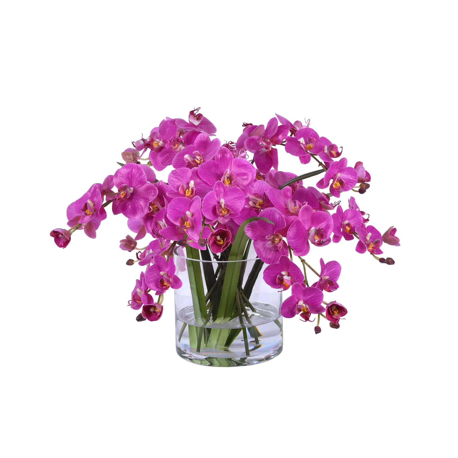 Orchid Phalaenopsis in Glass 13"